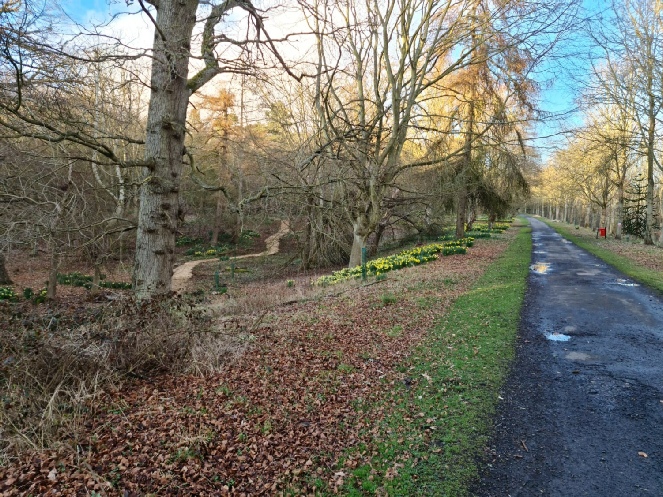 Visiting Ayton Castle